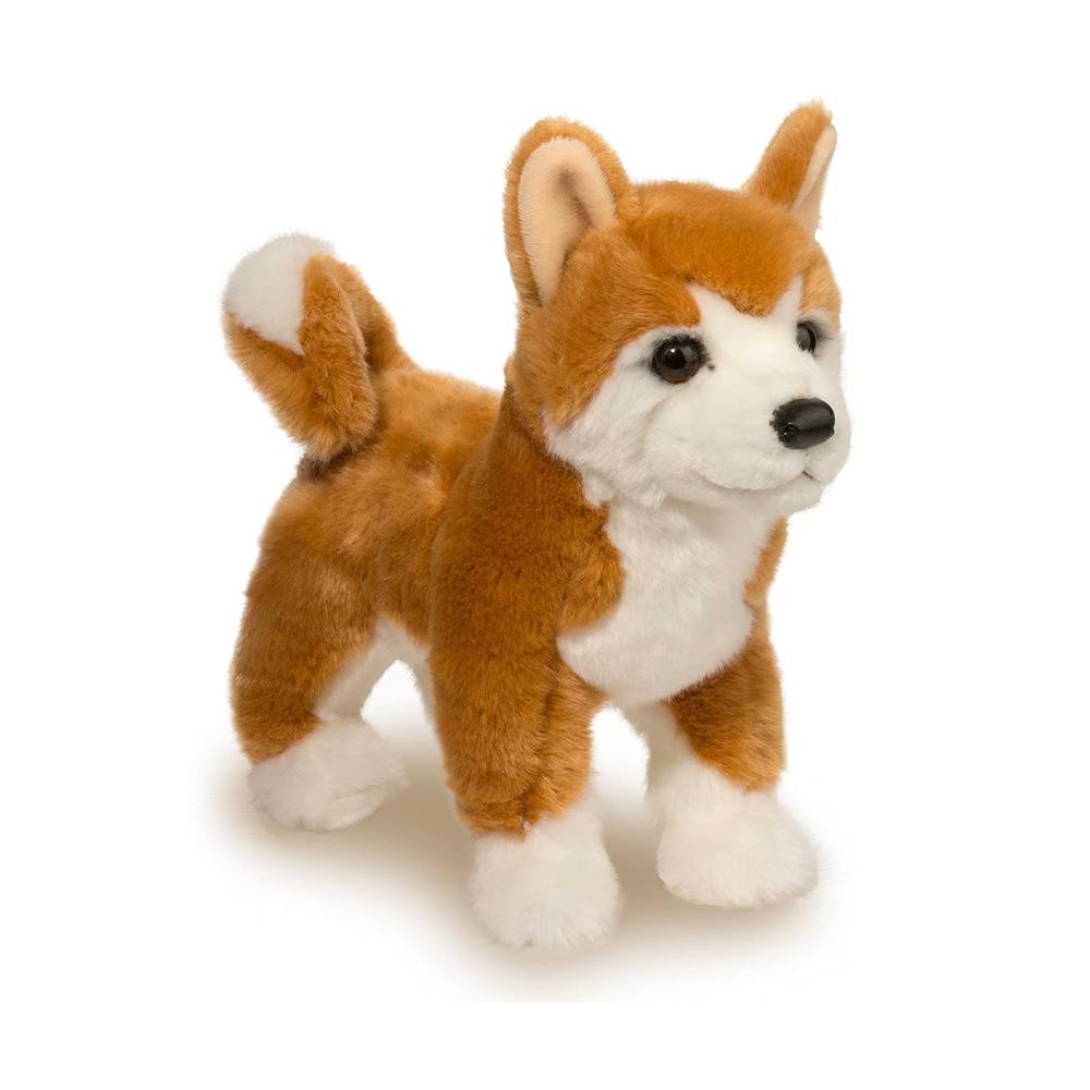 2049-1.jpg Dunham Shiba Inu - Image 1