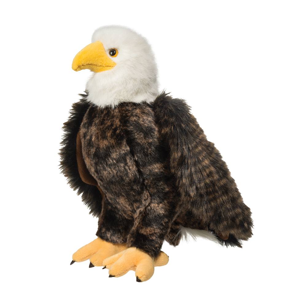258.jpg Adler Bald Eagle - Image 1